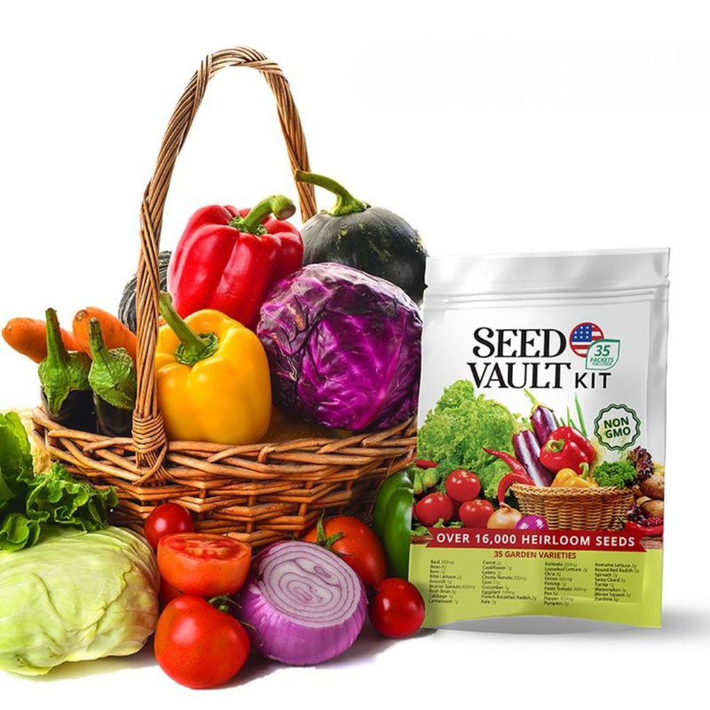 Seed Pantry Vault Kit